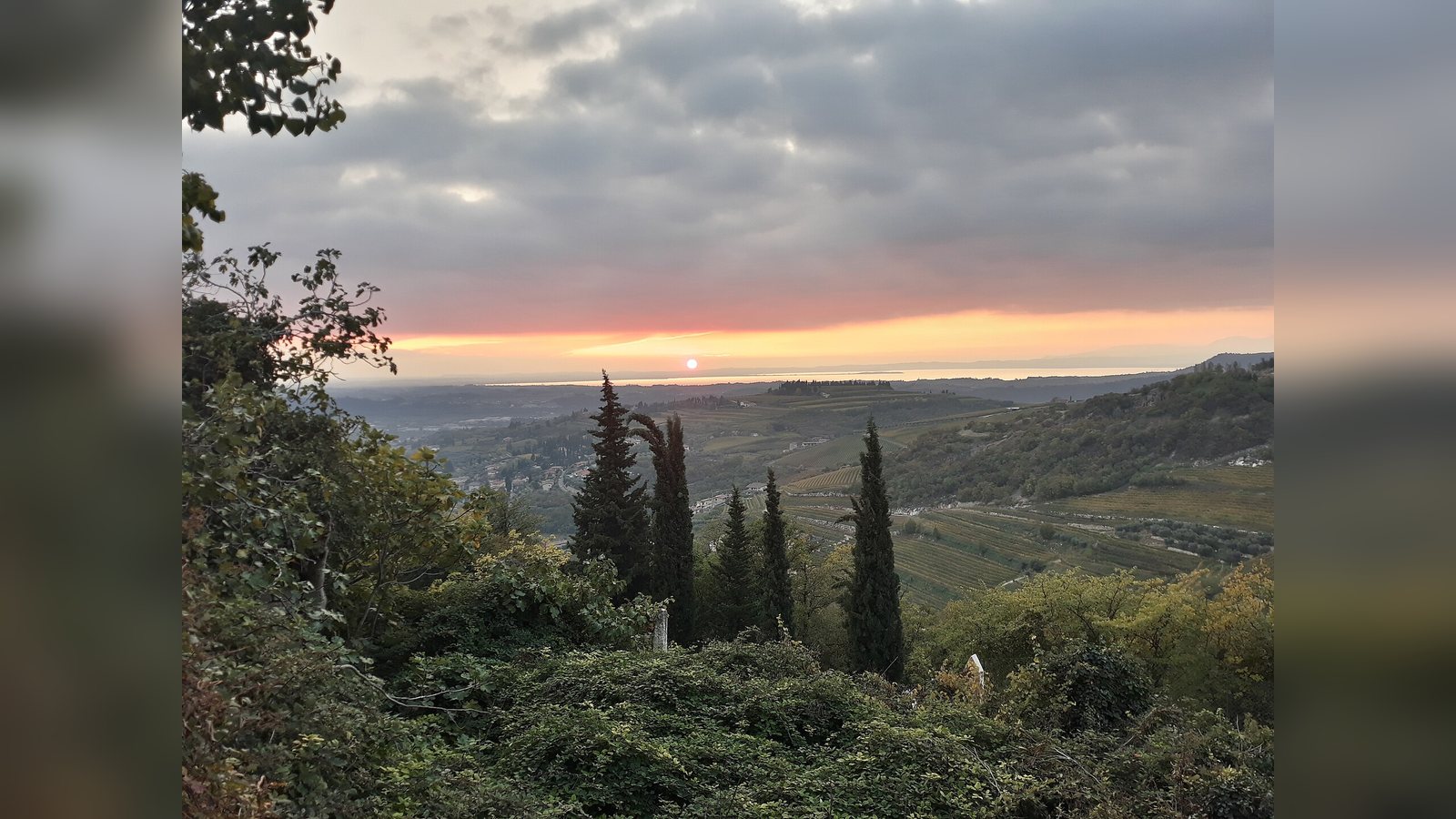 Le colline della Valpolicella coltivate a vigneto al tramonto